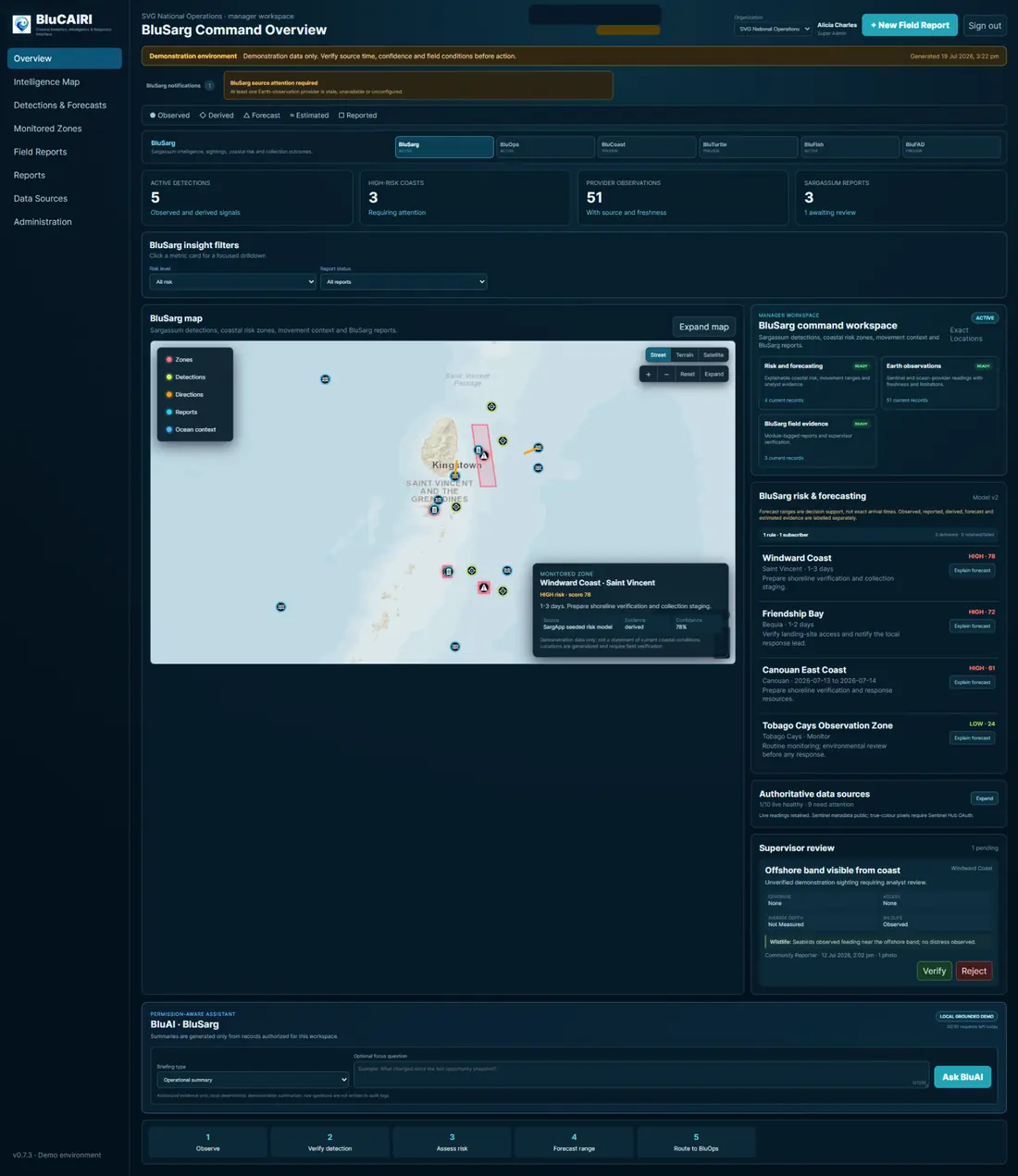 BluSarg command overview